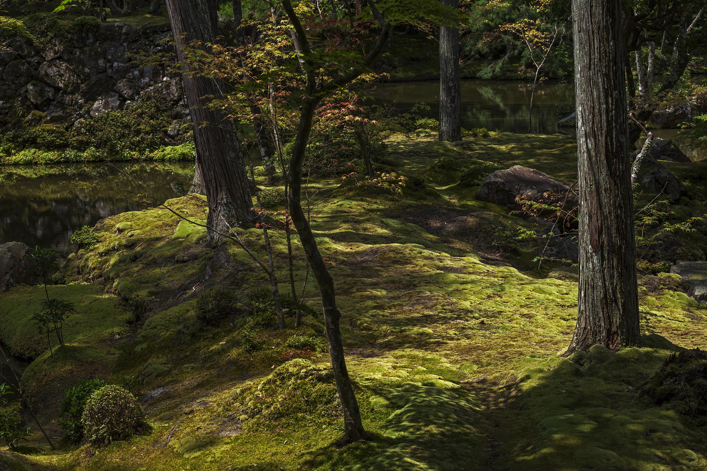 Saiho-ji - Temple des Mousses - Kokedera - Moss Temple - Kyoto - Saihoji