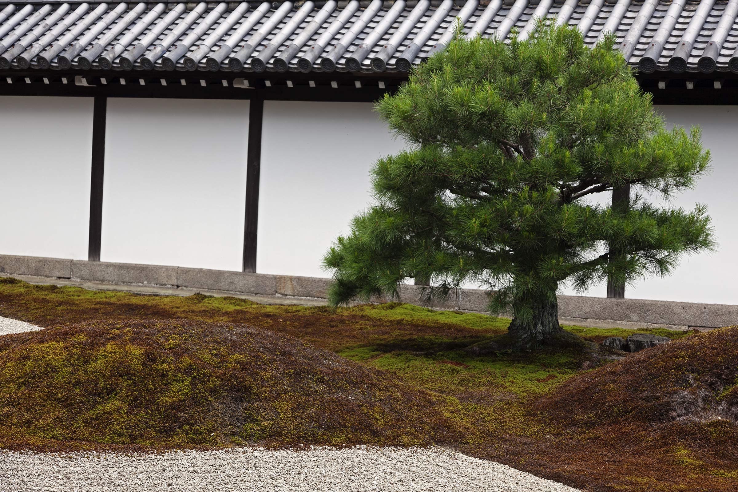 Tofuku-ji Garden - Tofuku-ji Garden - Tofukuji - Kyoto -